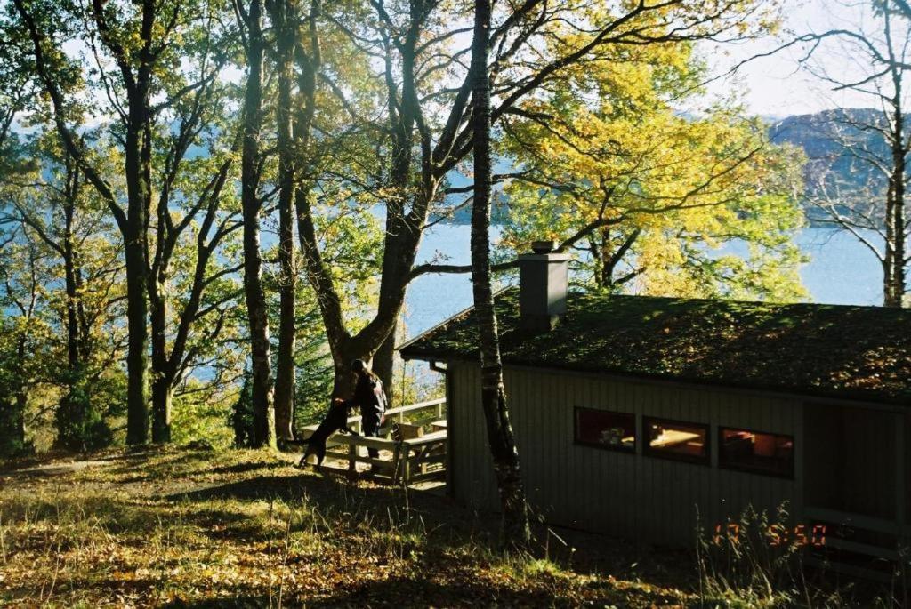 Hardanger Feriesenter Neshagen Villa Norheimsund Ngoại thất bức ảnh